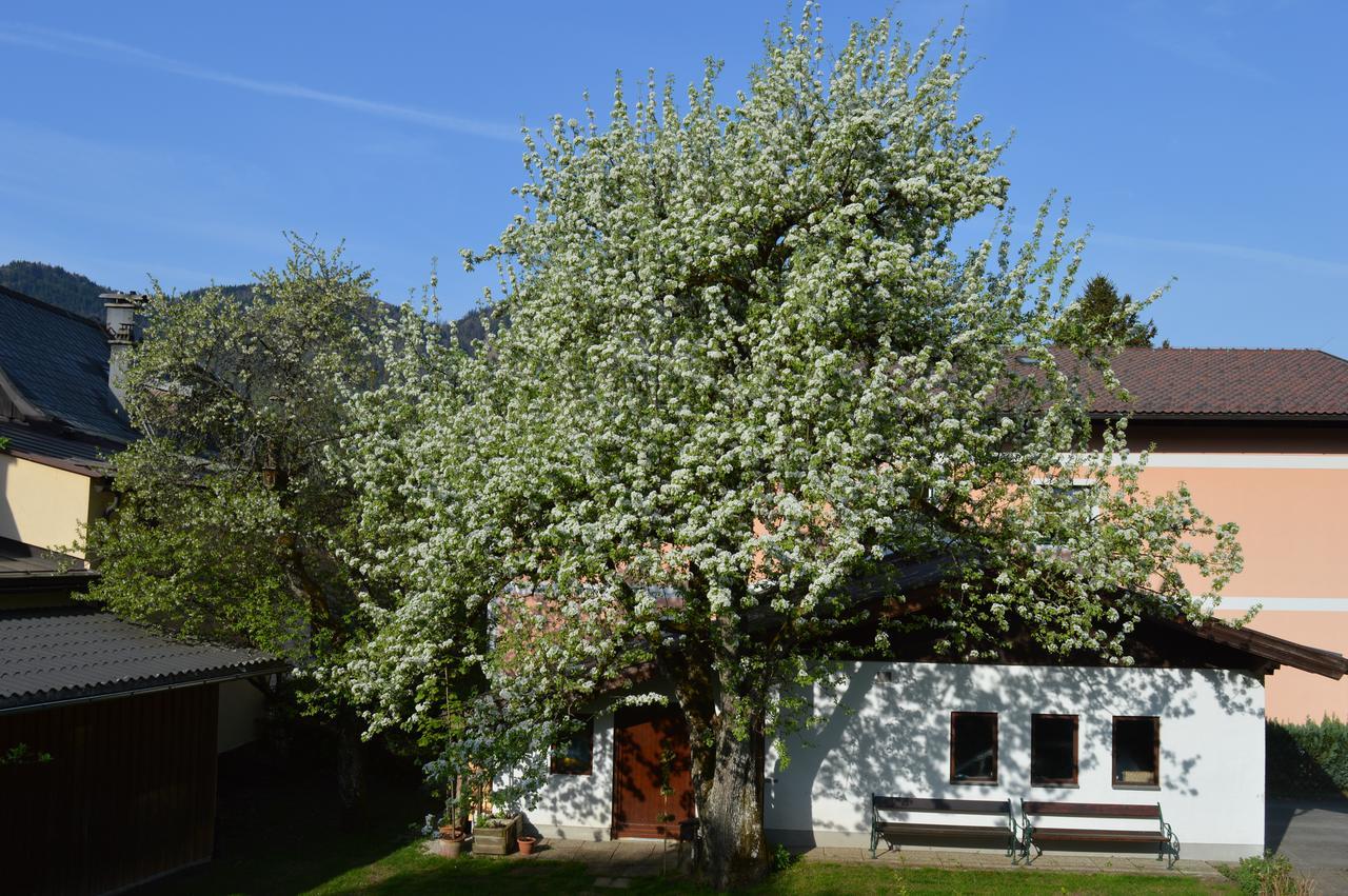 Hotel Haus Brigitte Fuschl am See Exterior foto